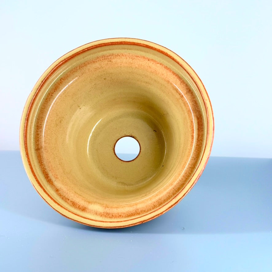 6.5" Wide planter